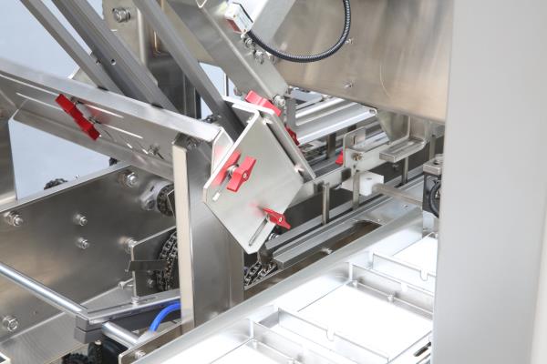 LQ-ZH-250 automatic cartoning machine-11