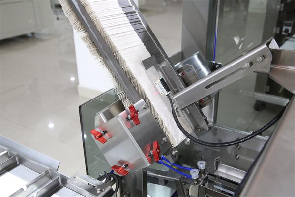 LQ-ZH-250 automatic cartoning machine-7